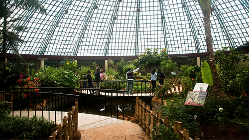 9 Beautiful Parks In Bengaluru Perfect For A Weekend Picnic